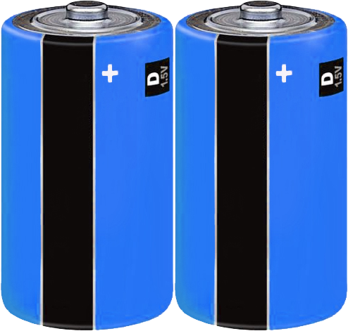 CAPITAL | D TYPE BATTERY X 1