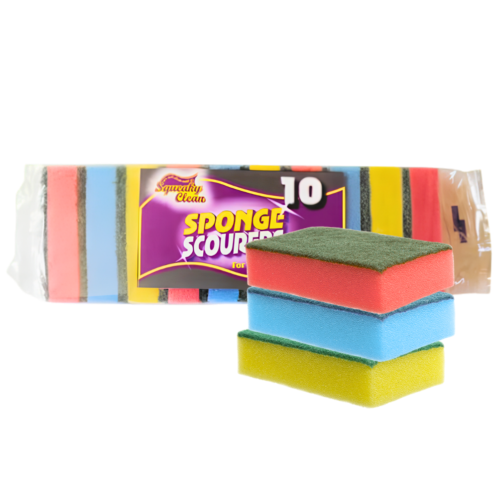 RAMON HYGIENE | MULTI-COLOURED SPONGE SCOURERS X 10 | 800.10SQ2