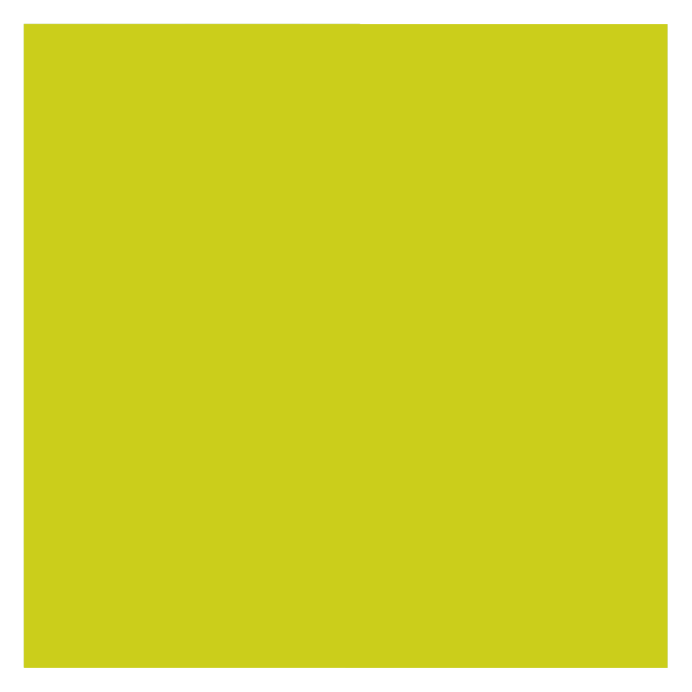 DUNISOFT | 4 FOLD TABLIN DINNER NAPKIN KIWI 40 X 40CM X 500 | 4044KW | 421136