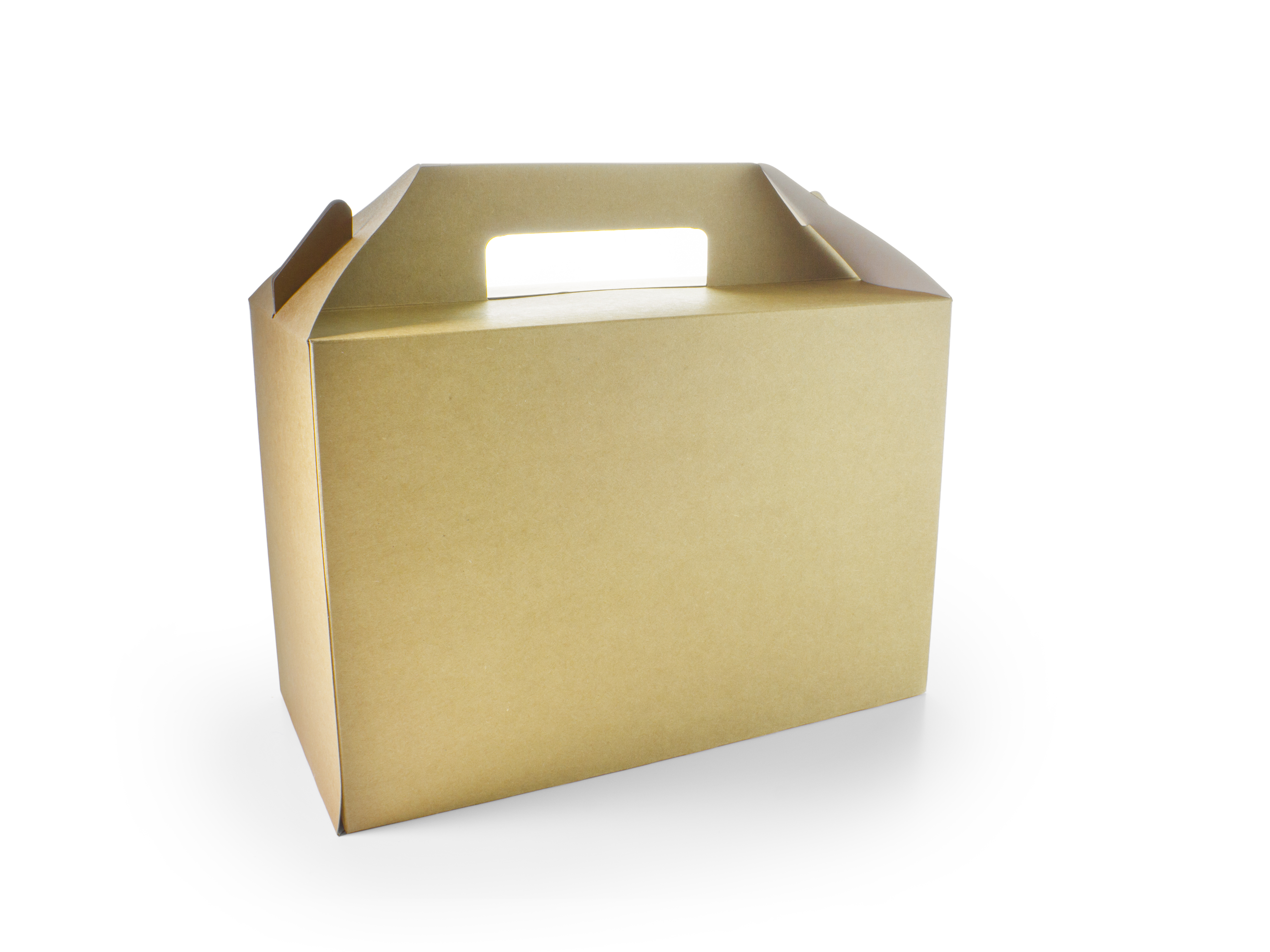 VEGWARE | LARGE CARRY PACK X 125 | VWCPL