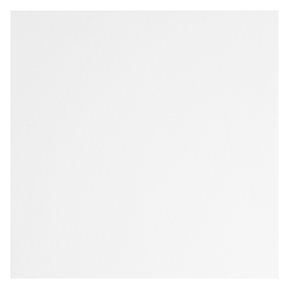 POPPIES | 2PLY 4 FOLD DINNER NAPKIN WHITE 40 X 40CM X 2000 | 4024WH | 4203